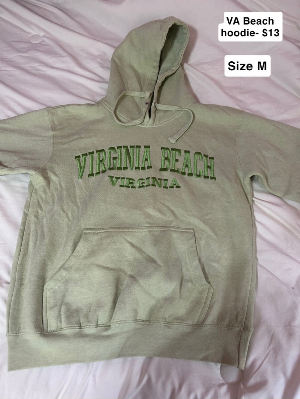 Virginia Beach Hooded Sweatshirt - Light Sage with Green Lettering